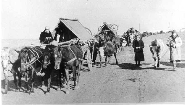 Gret Trek Out of Ukraine